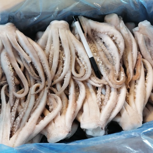 重庆市鱿鱼三去须