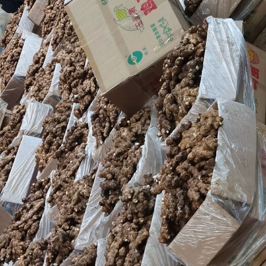 贺州云南小黄姜，肉质饱满，新鲜味浓