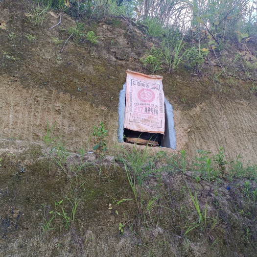 潜山市家养蜜蜂蜂蜜