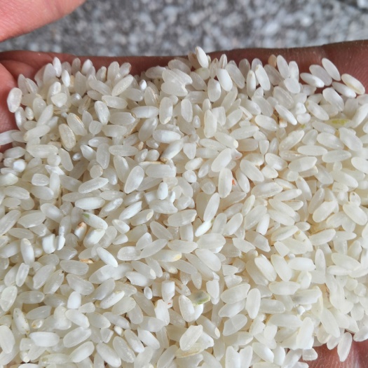 长沙粉皮米，肠粉，