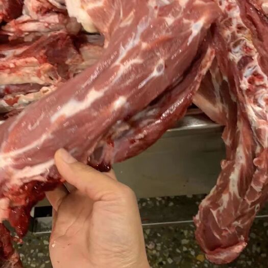 献县羊蝎子  加肥羊脊骨