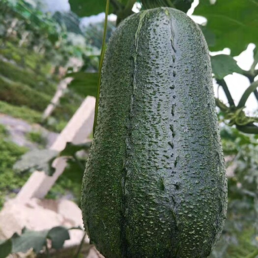 芦山县优质好货，量大