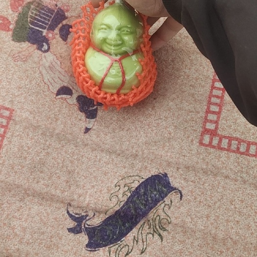 你所需要的品种我这都有