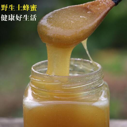 荔浦市广西大瑶山土蜂蜜野蜂蜜高品质纯正波美度41三年采一次