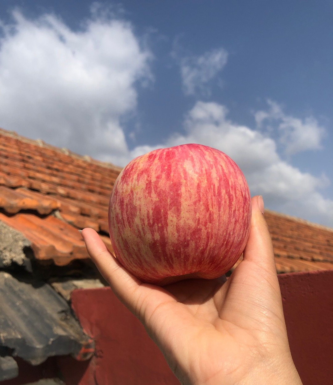 果禮果業(yè)