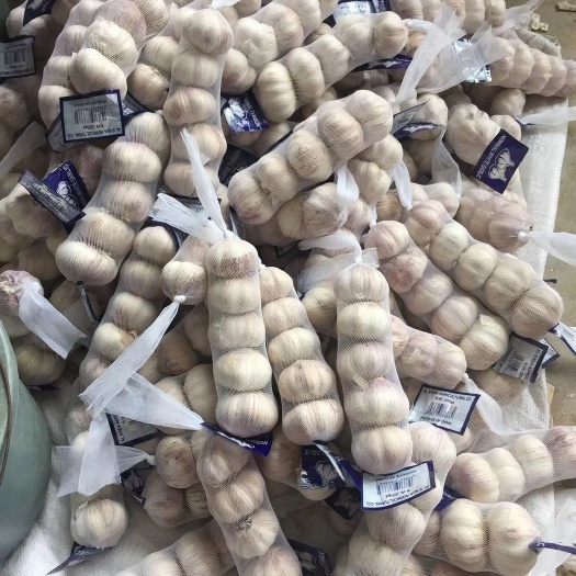 邳州市邳州精品红蒜，全国大蒜基地，精品蒜加工，常年供应国内外市场，