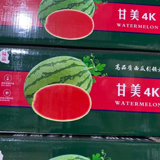 蒲城县陕西蒲城旱原大棚无籽，品种齐全，口感入口即化，高品质！