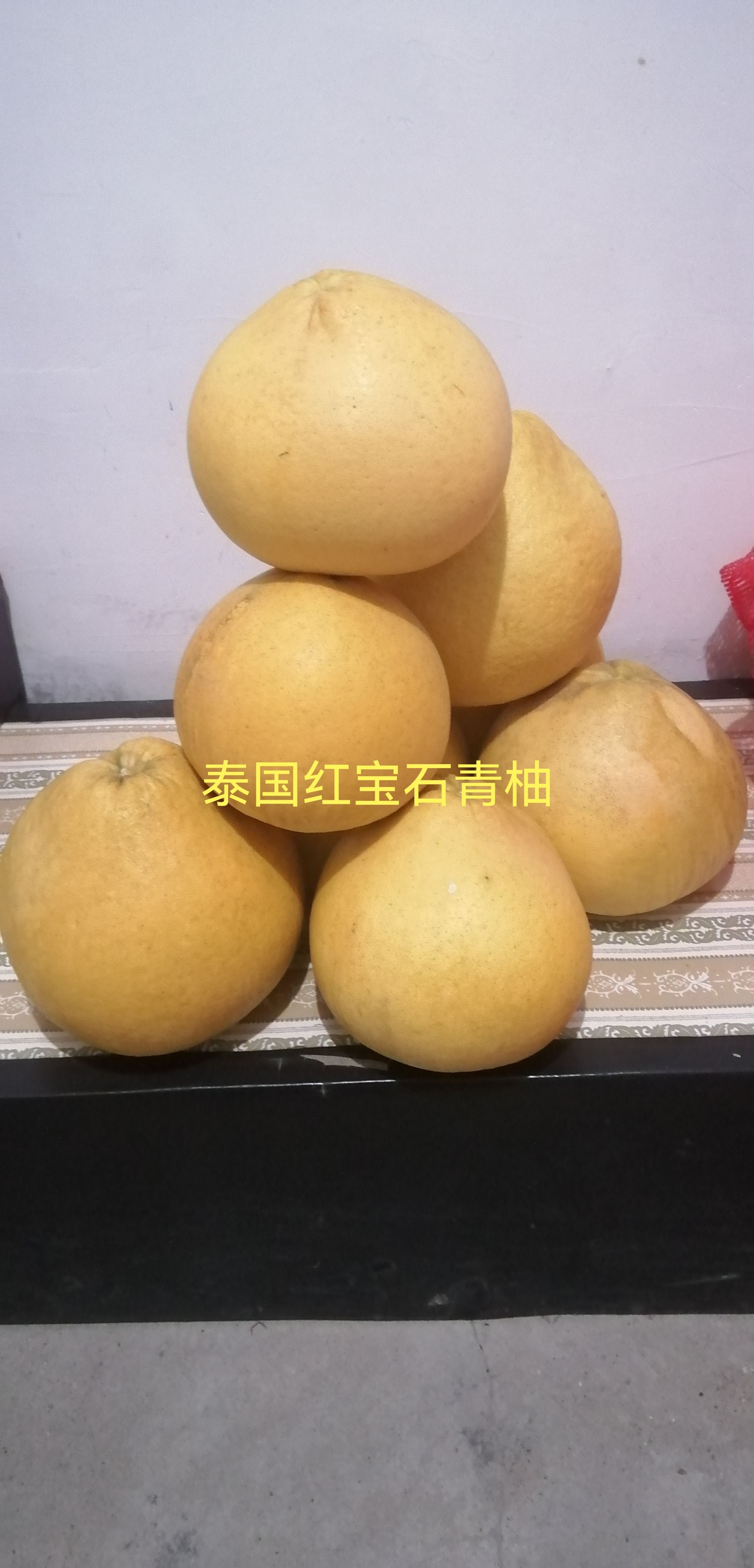 泰国青柚苗  泰国红宝石青柚苗