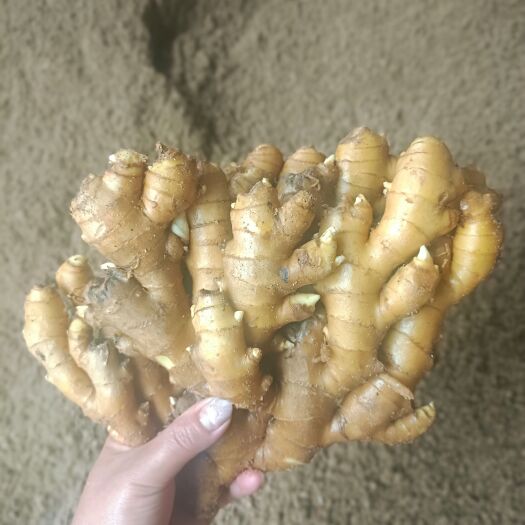 汝城县现货一键代发，物美价廉!