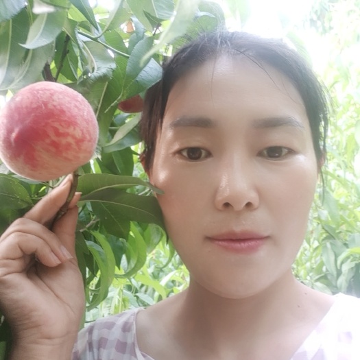 顺平县顺平县伊祁山水蜜桃