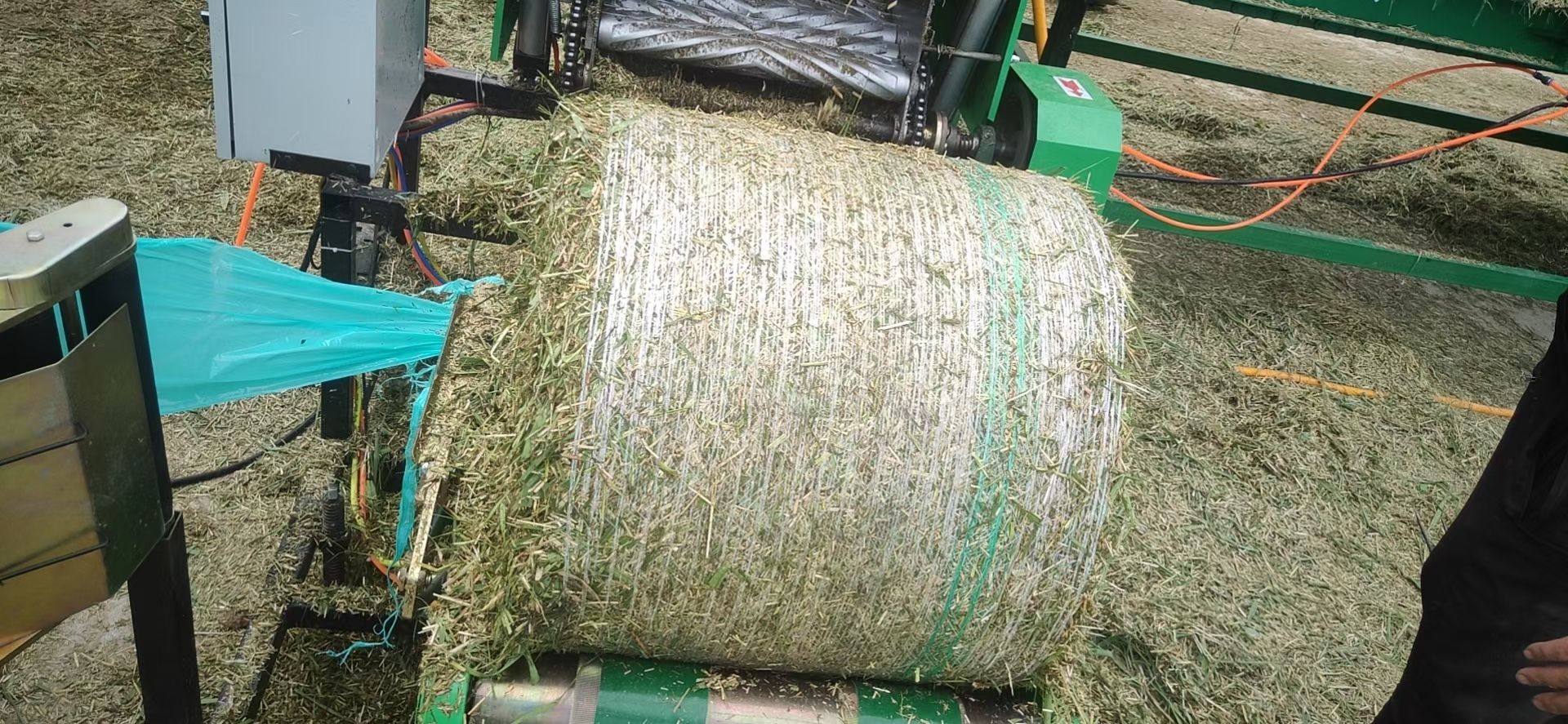 芦苇青草压块，3-5公分长，可储存3-5个月，上膘好饲料。