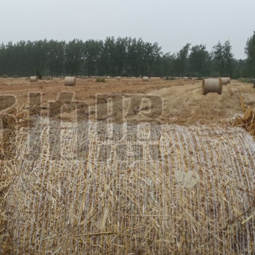 优质2022小麦秸大圆捆