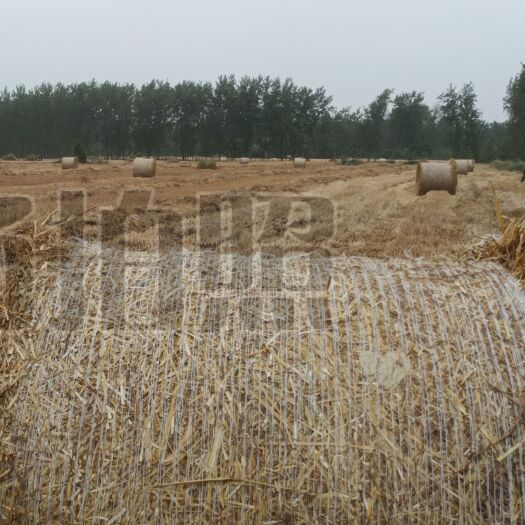 泗阳县优质2022小麦秸大圆捆