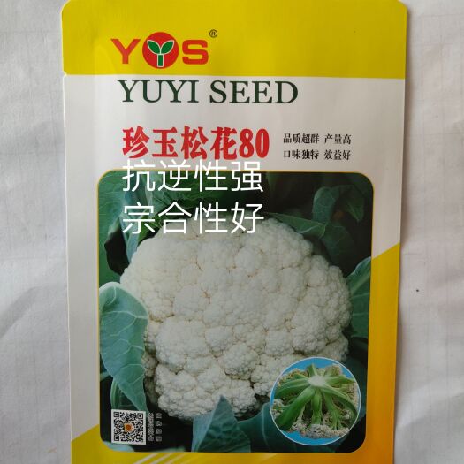 白面青梗松花菜種子 珍玉松花80~中熟直立抗逆性強(qiáng)花球頂平微