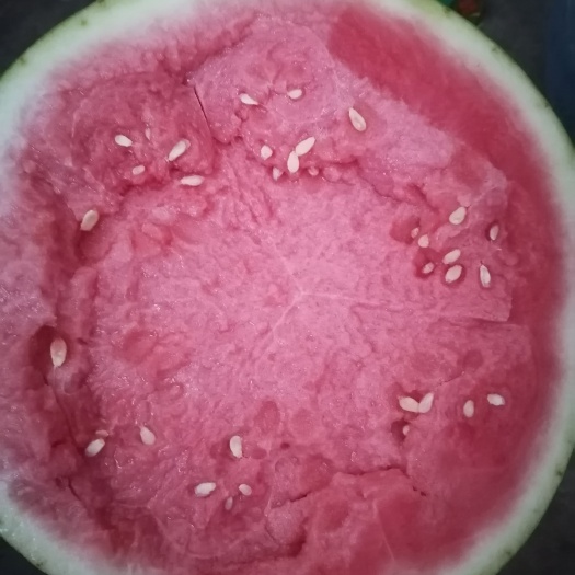 大荔县美都西瓜，糖度13个，口感酥脆甜
