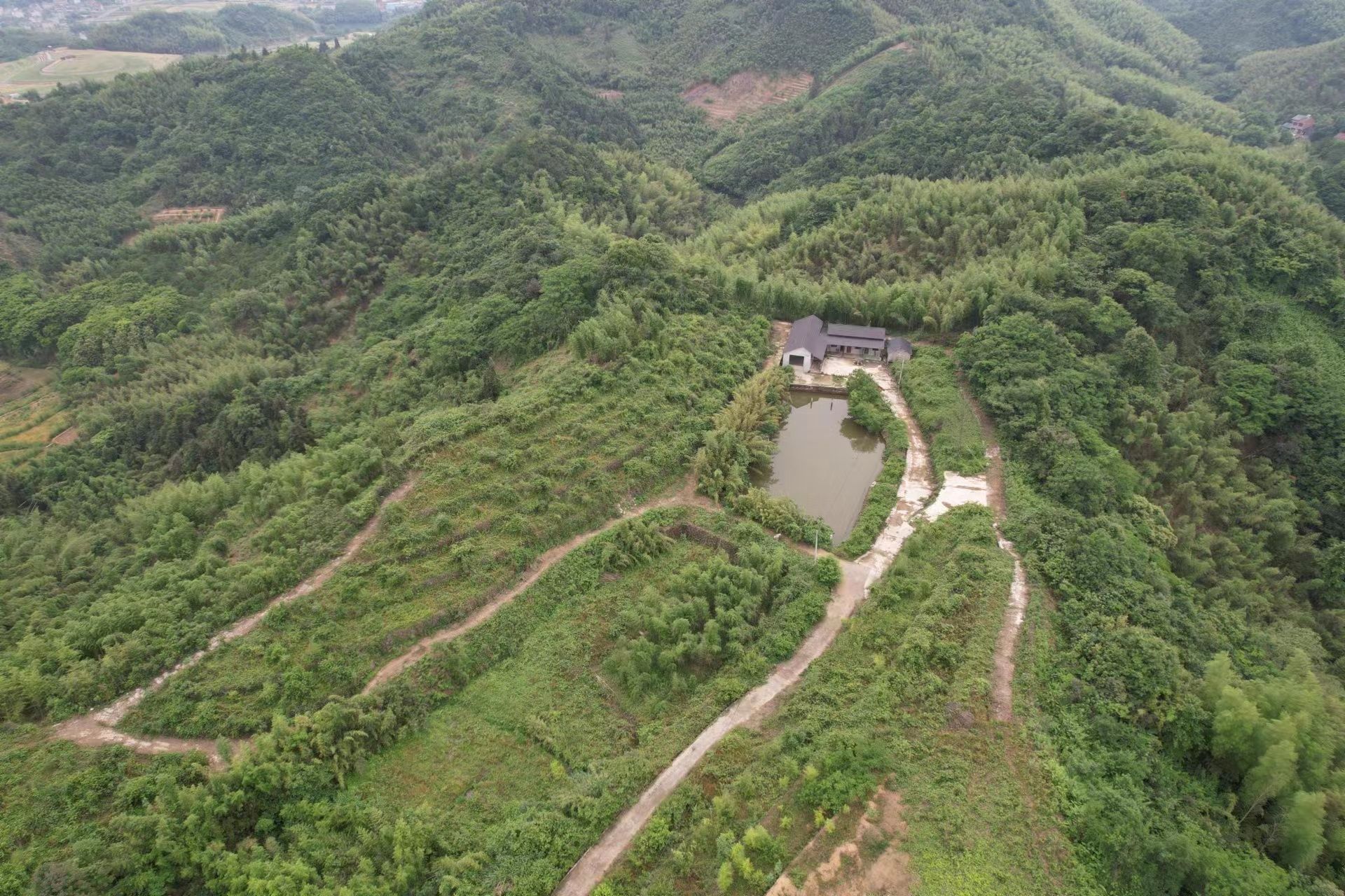 半山仙桃