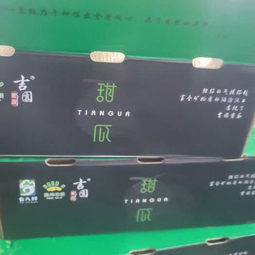 嘉兴网纹瓜