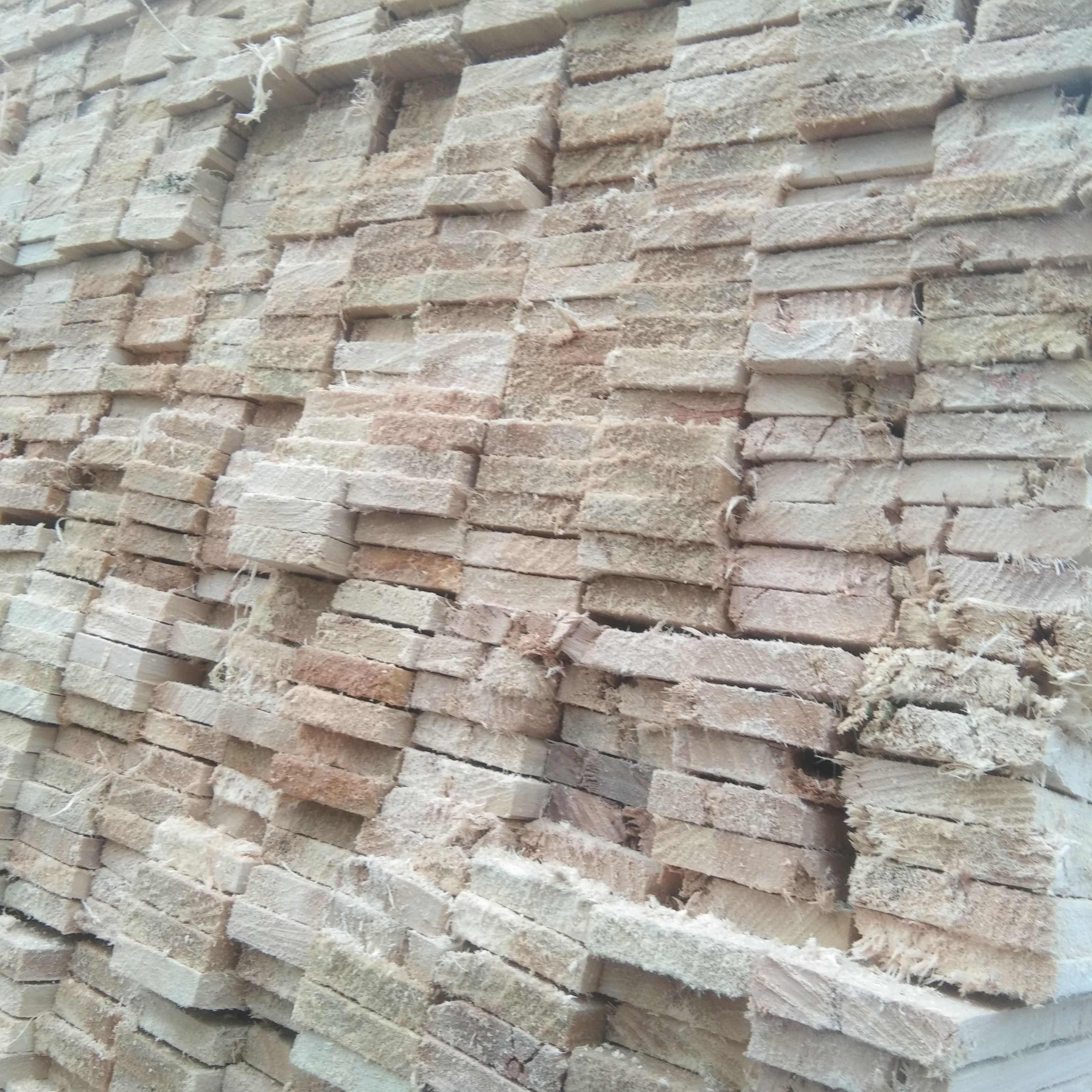 带锯加工出售预定杨木，梧桐木，青冈木，等杂木包装箱板条方木条