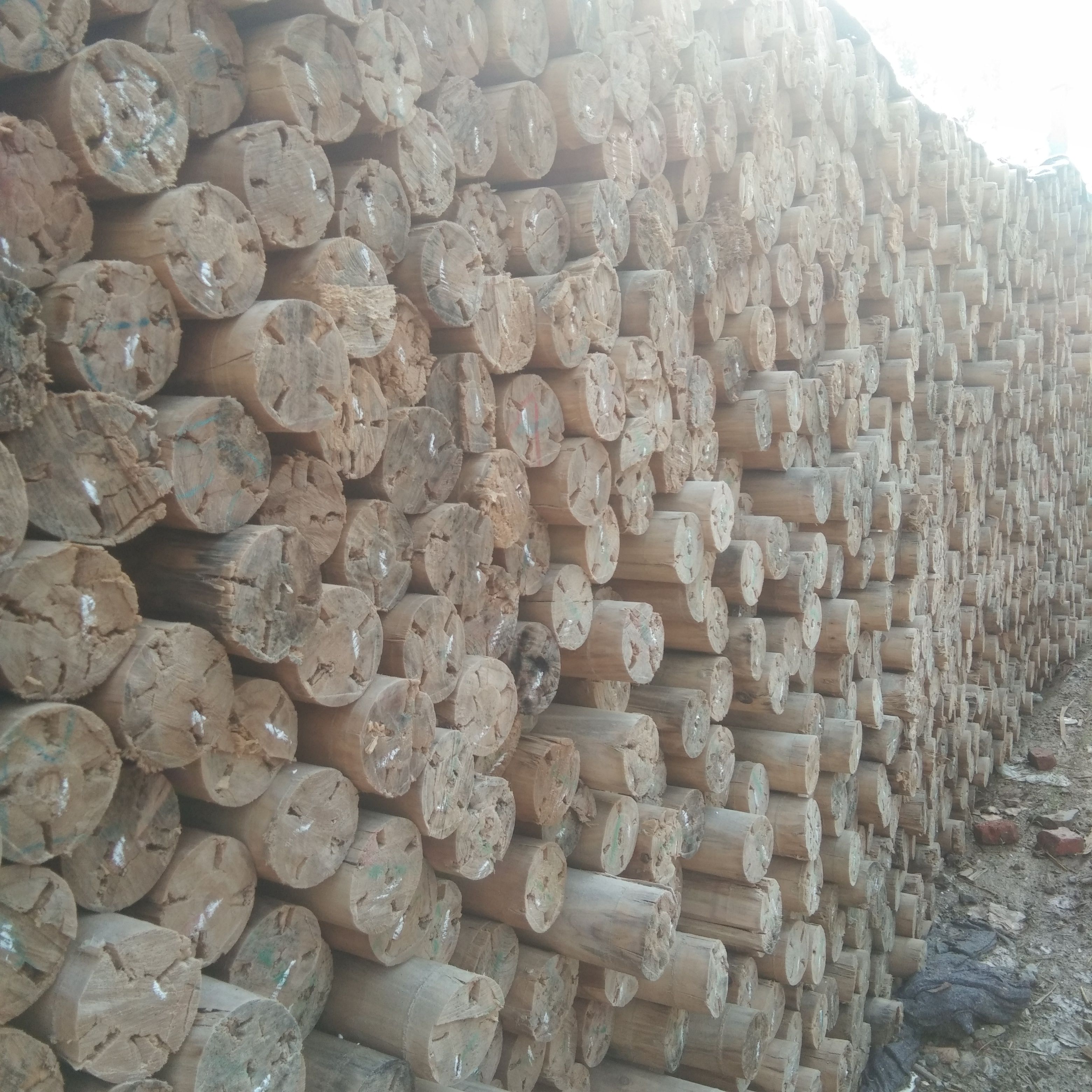 带锯加工出售预定杨木，梧桐木，青冈木，等杂木包装箱板条方木条