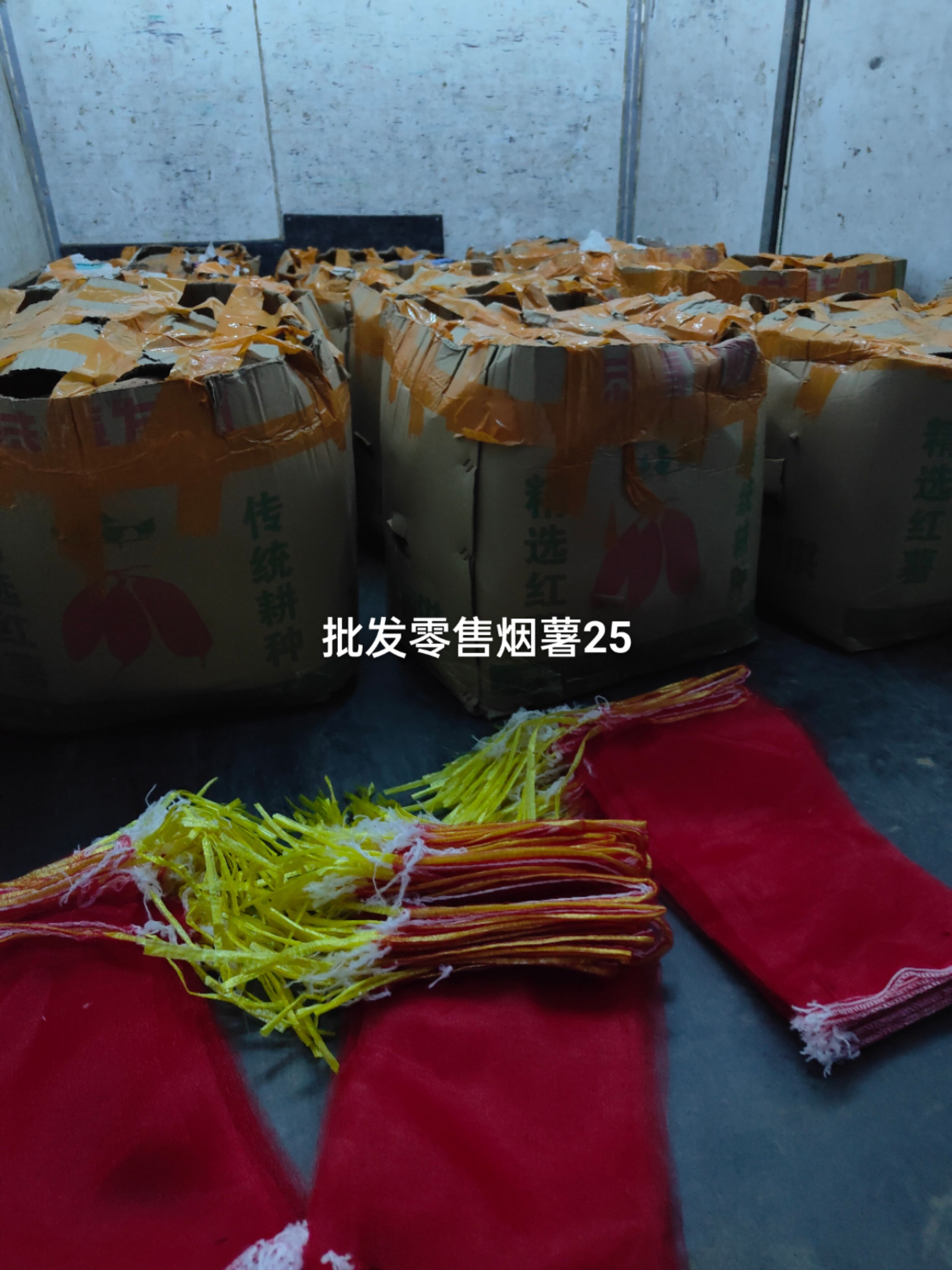 红薯唐山烟薯25小烟薯