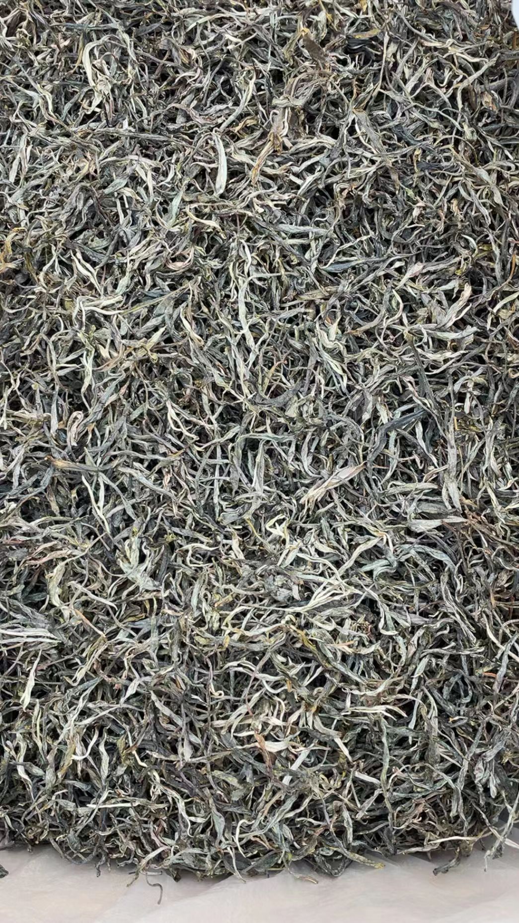 古树茶口感微甜