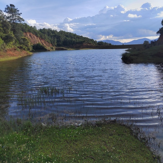 水库（水源）土地（农庄，果园）出让，出租。