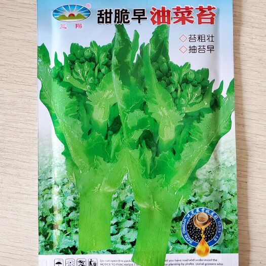 成都高产早熟菜心种子四季可播四川青菜苔种籽农家盆栽庭院蔬菜种子。