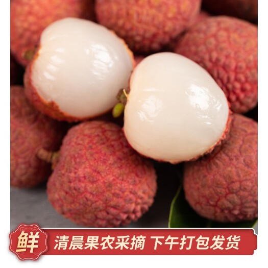 漳浦县乌叶荔枝开采