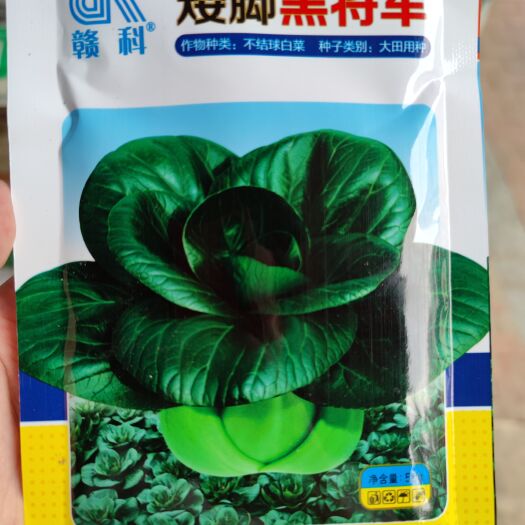 南昌矮脚黑将军苏州青青梗菜种子，50克