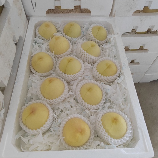 新沂市黄桃  突围白桃   量大优 支持代办