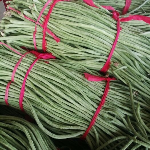 沛县豆角，