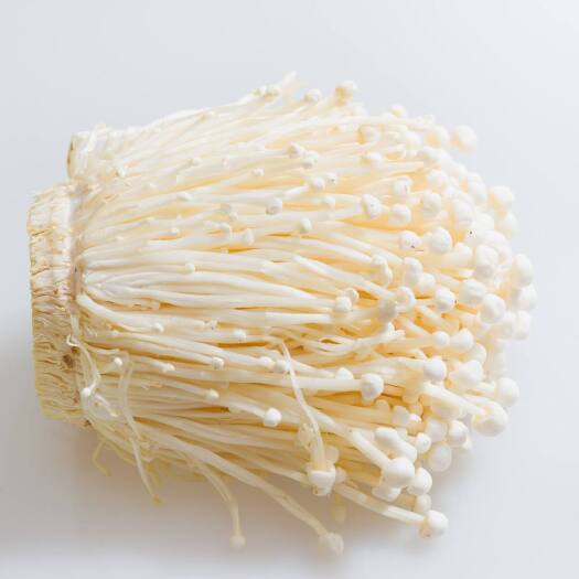 重庆市雪榕金针菇