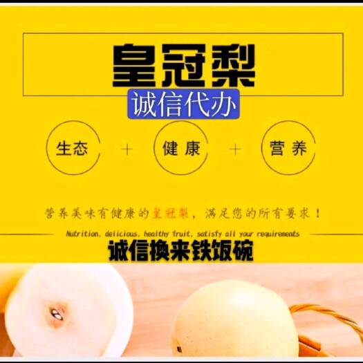 砀山县砀山万亩果园，皇冠梨上市，需要的联系我