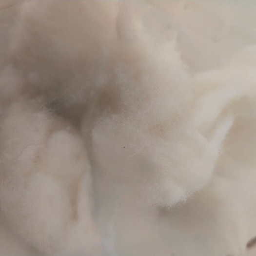 各种规格，水洗羊毛，羊毛被絮片用料