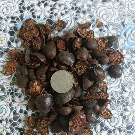 原阳县土元，通货，分拣货，