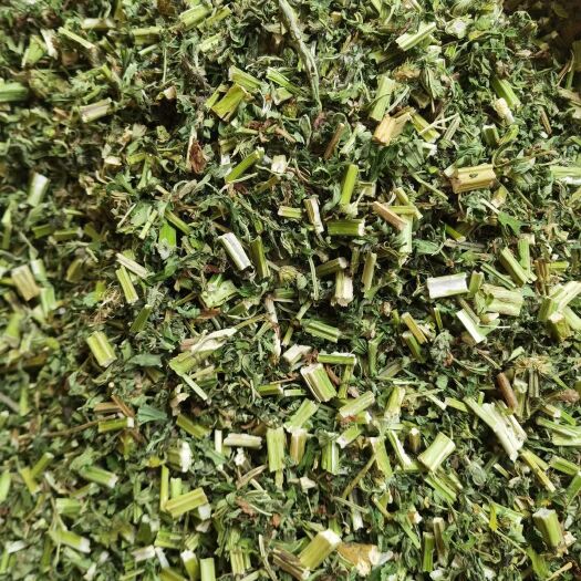 玉林益母草