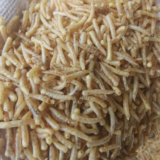 邛崃市四川成都邛崃供应优质禽畜肉蛋虫类蝇蛆干货批发雷剑蝇蛆干
