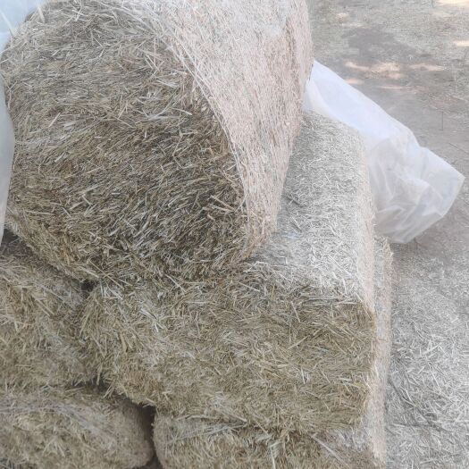 永寿县小麦秸秆柔丝草