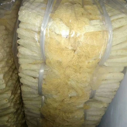 将乐县长裙竹荪 干竹荪