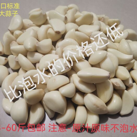 义乌市出口标准蒜米