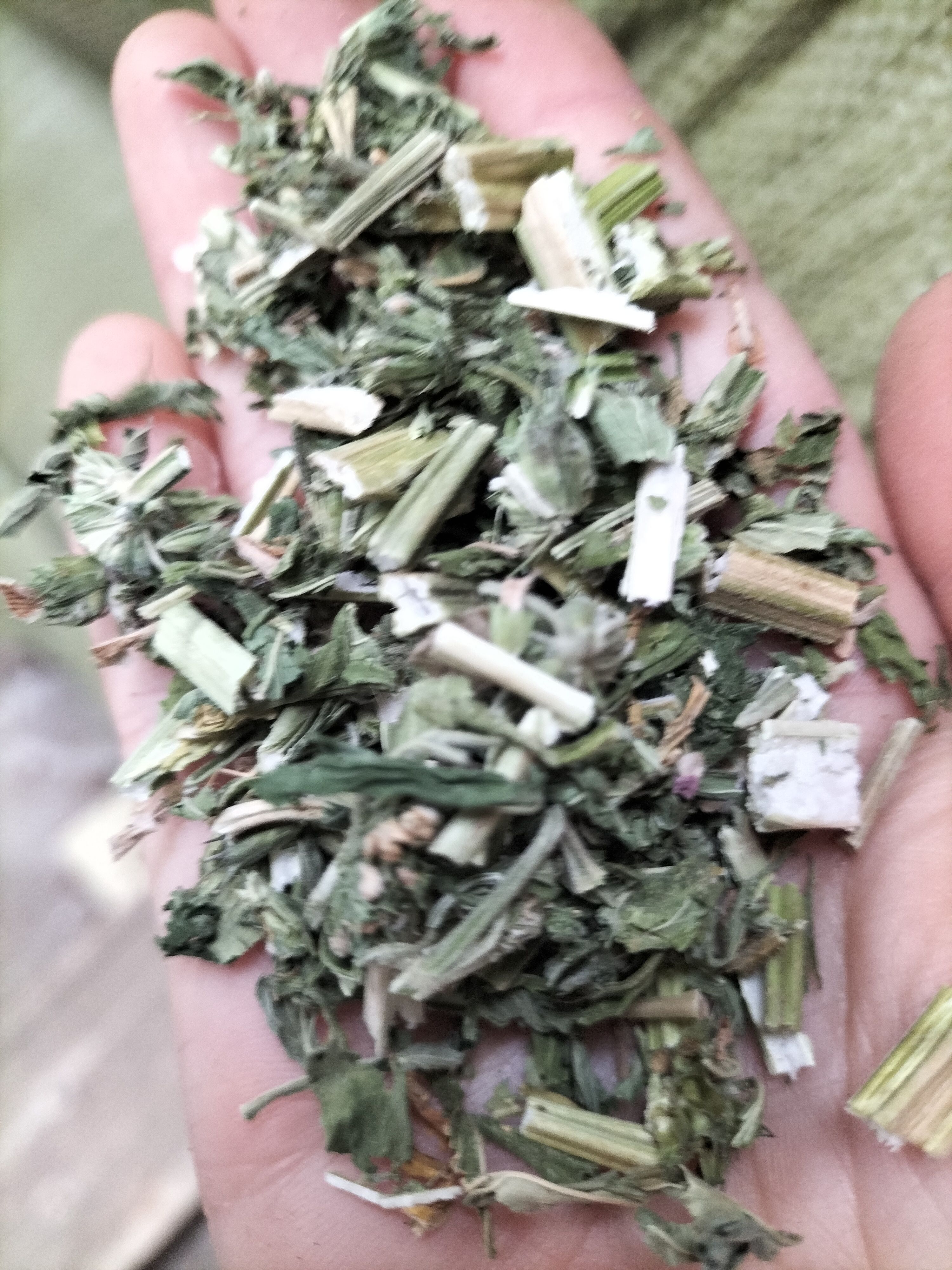 （包邮）益母草切段，药效高，纯绿色。