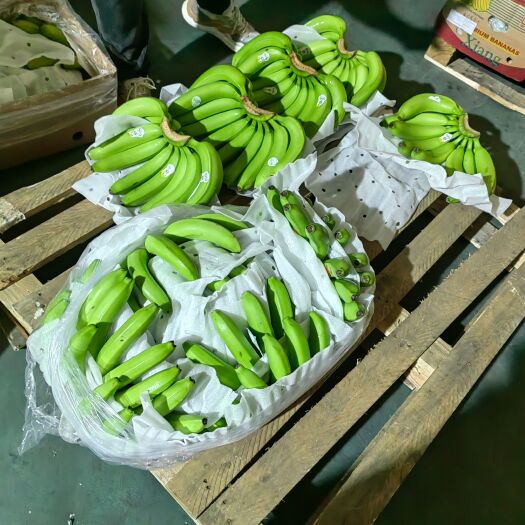 上海精品优惠菲律宾香蕉