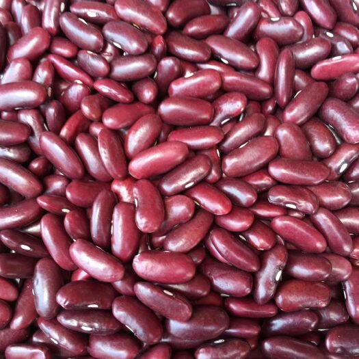 瑞丽市缅甸红腰豆现货！有需要的可以私信我！