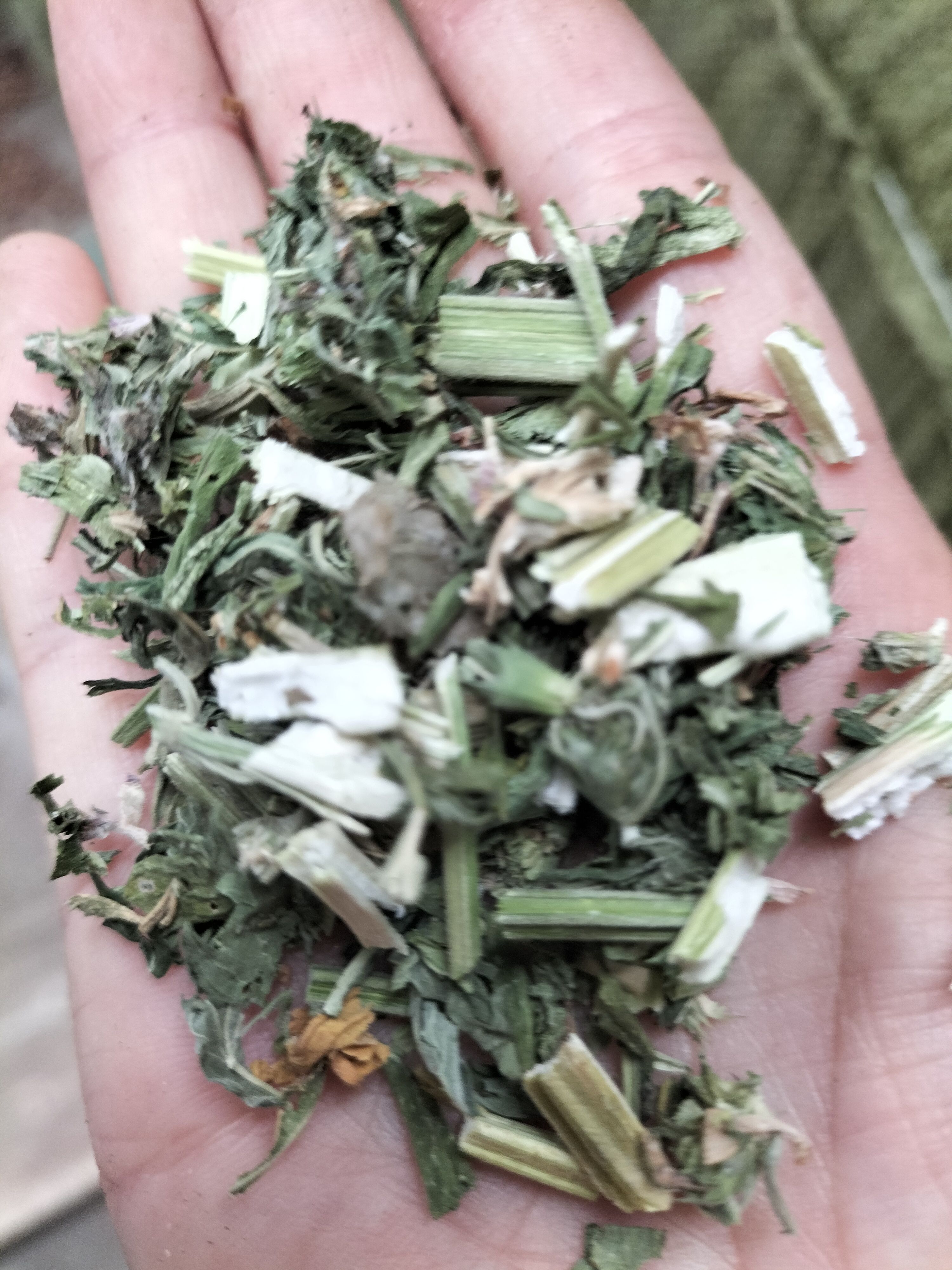 （包邮）益母草切段，药效高，纯绿色。
