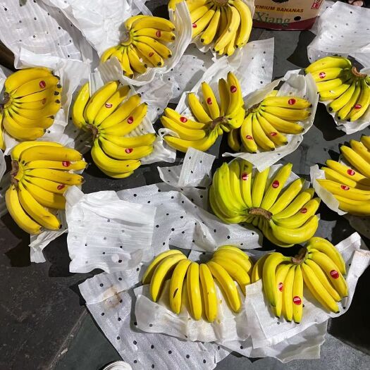 上海精品优惠菲律宾香蕉 无花皮无硬心口感软糯香甜有4证可发全国