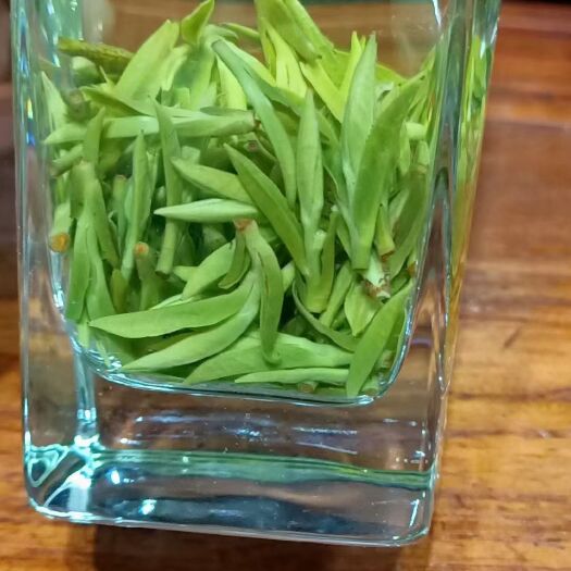麻城市高山毛尖，明前头采，高拨800米以上。