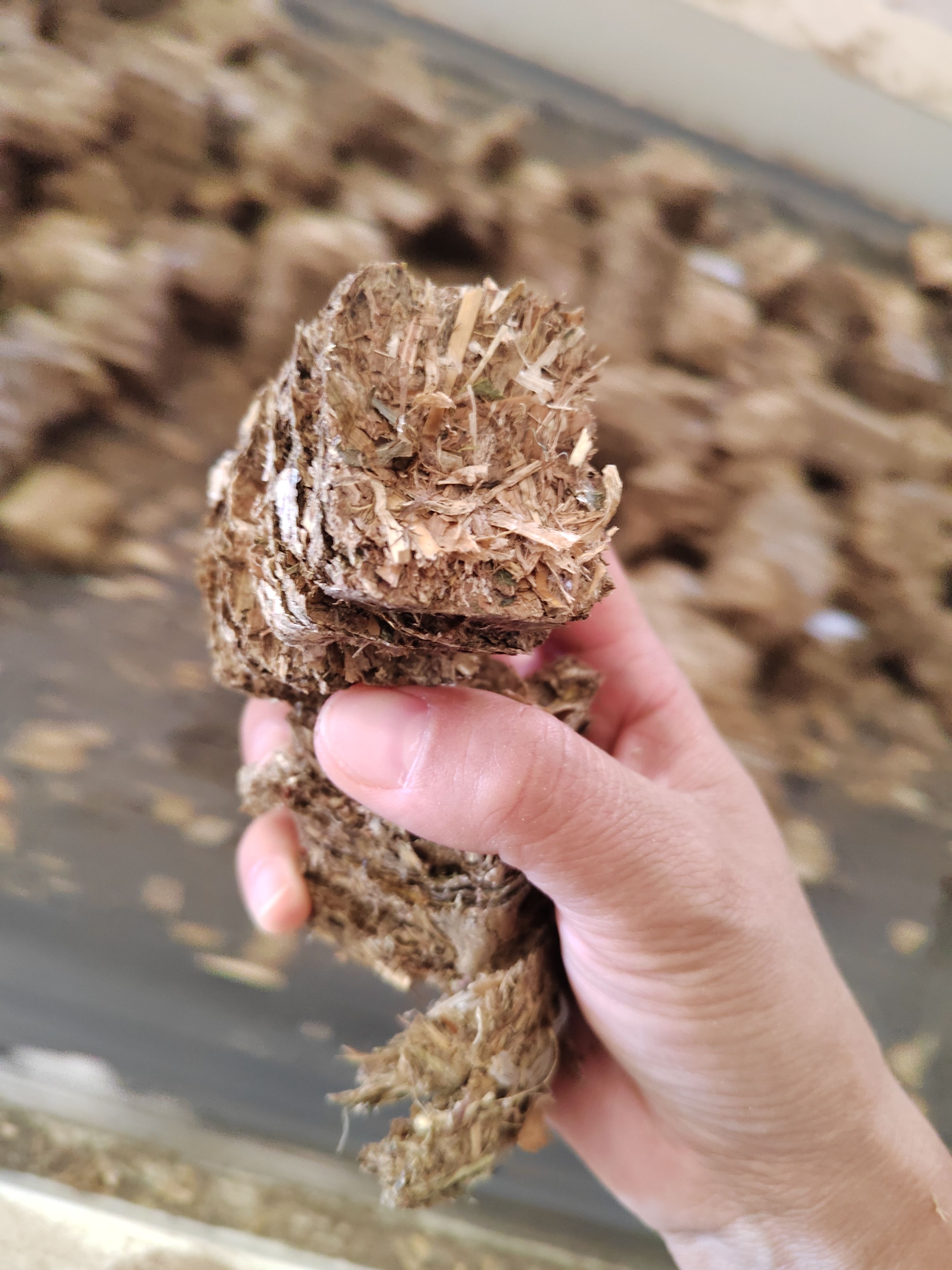 玉米秸秆揉丝大包，小包 草球，均有销售。草质保证，干白净。