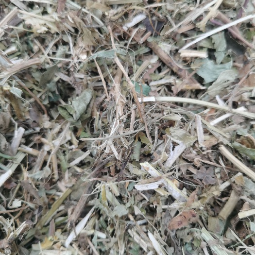正阳县出售各种规格牛羊草