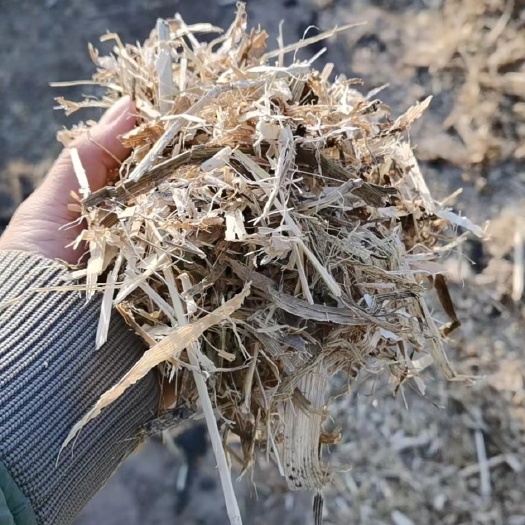 和林县玉米秸秆柔丝草