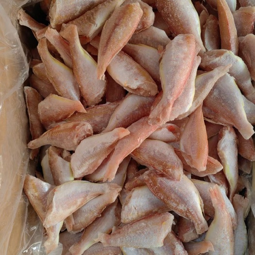 北海单冻去头红杉鱼 红三鱼 饭堂快餐店食材
